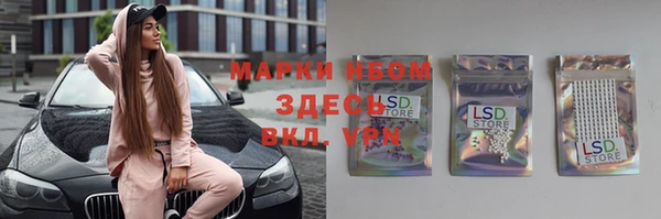 стаф Осташков