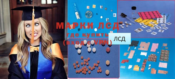 прущие грибы Осинники